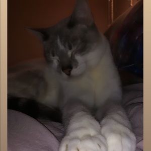 Meet your Posher, Elle